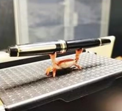 Crab Pen Holder